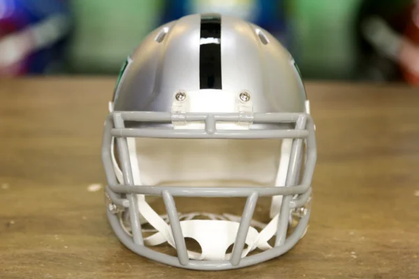 Las Vegas Raiders Riddell Speed Mini Helmet